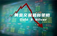 外汇分析郭金珩：外汇黄金走势分析原油期货操