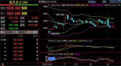 外汇分析刘铭诚：624外汇黄金行情分析625原油期