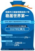中国这十年·系列主题新闻发布丨我国外汇储备规