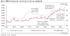 汇率调整冲击减弱波动无须过度担心——8月外汇