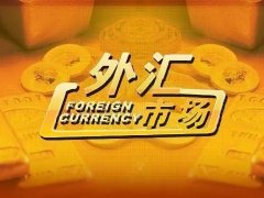 外汇是什么？外汇利润有多大？看完你就懂了易